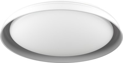 Потолочный светильник Citilux Mega CL752451G