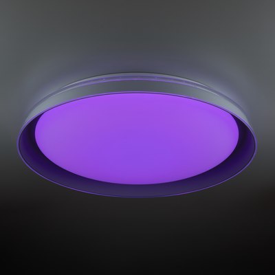 Потолочный светильник Citilux Mega CL752451G