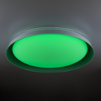 Потолочный светильник Citilux Mega CL752451G