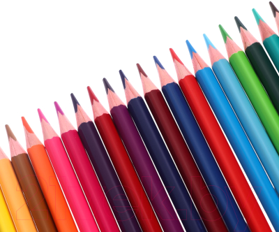 Набор цветных карандашей Erich Krause Safari / 61816