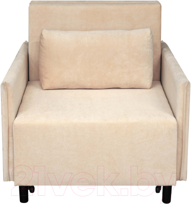 Кресло-кровать Домовой Визит-3 1 (80)