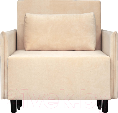 Кресло-кровать Домовой Визит-3 1 (80)