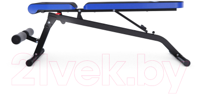 Скамья многофункциональная DFC D848 