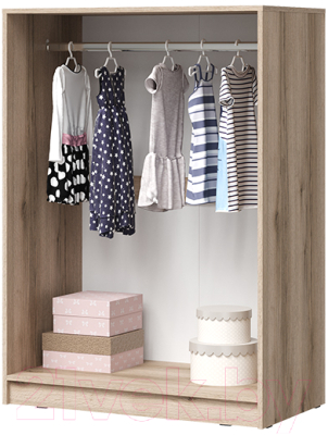 Шкаф Стендмебель Киви 2ств ШК-05