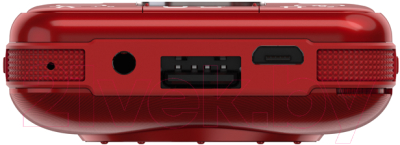 Мобильный телефон Maxvi P110