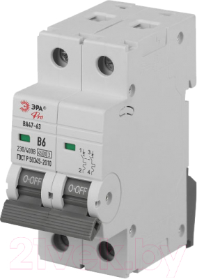 Выключатель автоматический ЭРА Pro VA63-2P06B4.5 ВА47-63 2P 6А / Б0059377 - фото