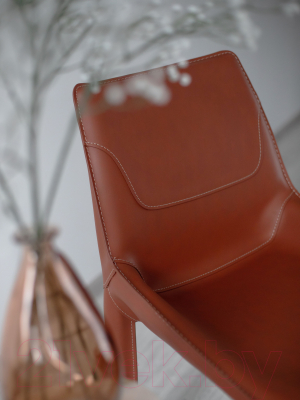 Стул Sheffilton STH-S169 (коричневый)