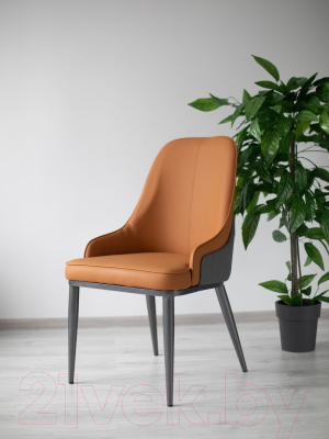 Стул Sheffilton STH-S171