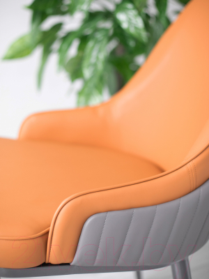 Стул Sheffilton STH-S171