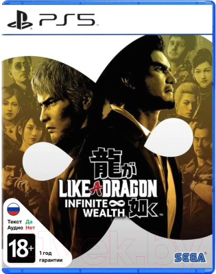 Игра для игровой консоли PlayStation 5 Like a Dragon: Infinite Wealth - фото