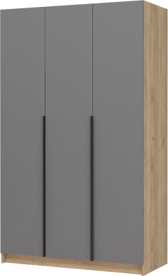 Шкаф Стендмебель Лион ШК-02 3-х створчатый - фото