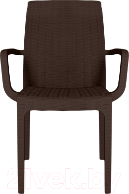 Стул пластиковый Ellastik Plast Rattan Ola Dom