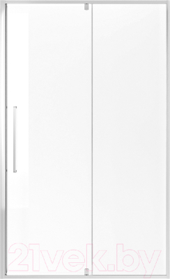 Душевая дверь Niagara NG-66-11A 110x195 - фото