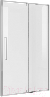 Душевая дверь Niagara NG-66-11A 110x195