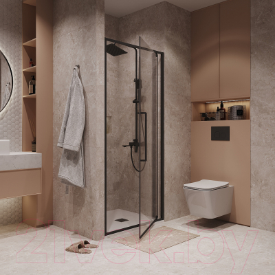 Душевая дверь Niagara NG-85-10AB 100x195