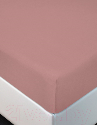 Простыня для малышей АртПостель На резинке Терракот 250 - фото