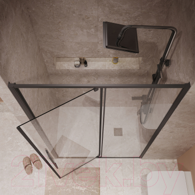 Душевая дверь Niagara NG-85-12AB 120x195