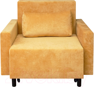 Кресло-кровать Домовой Визит-3 1 (80)-Ш