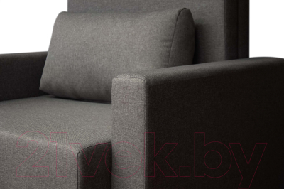 Кресло-кровать Домовой Визит-3 1 (80)-Ш