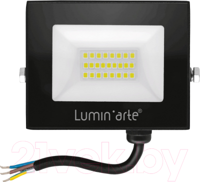 Прожектор LuminArte LFL-20W/06 - фото