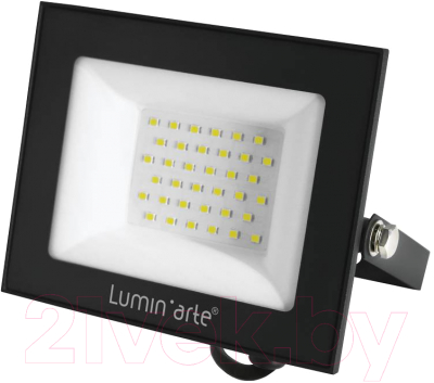 Прожектор LuminArte LFL-50W/06 - фото