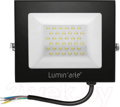 Прожектор LuminArte LFL-50W/06