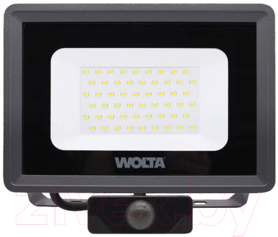 Прожектор Wolta WFL-50W/06s - фото