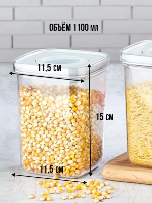 Набор емкостей для хранения Organizers ORG-101