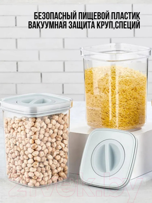 Набор емкостей для хранения Organizers ORG-101