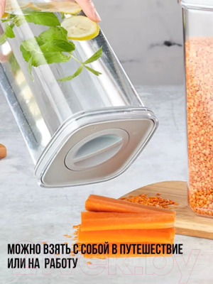 Набор емкостей для хранения Organizers ORG-101