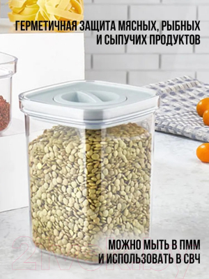 Набор емкостей для хранения Organizers ORG-101