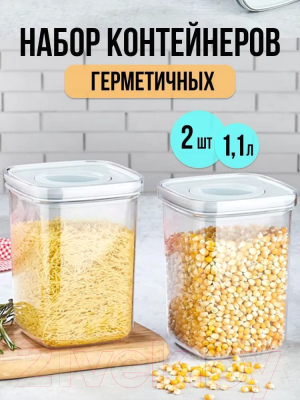 Набор емкостей для хранения Organizers ORG-101