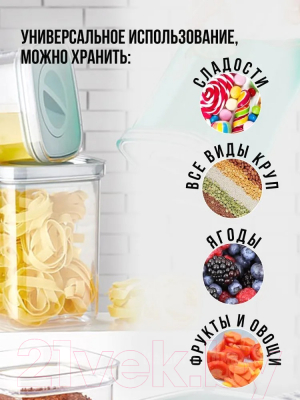 Набор емкостей для хранения Organizers ORG-101