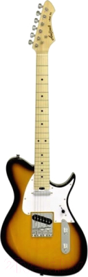 Электрогитара Aria Pro II J-TL 2TS - фото