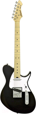 Электрогитара Aria Pro II J-TL BK - фото