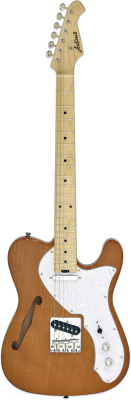 Электрогитара Aria Pro II TEG-TL N - фото