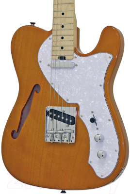 Электрогитара Aria Pro II TEG-TL N