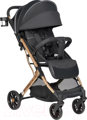 Детская прогулочная коляска Costa Linda Comfort / LC-02 - фото