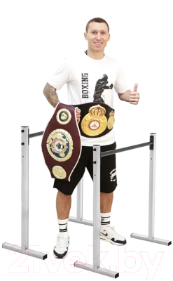 Брусья Absolute Champion Хайлетсы №2