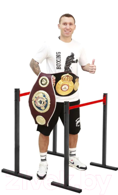 Брусья Absolute Champion Хайлетсы №2