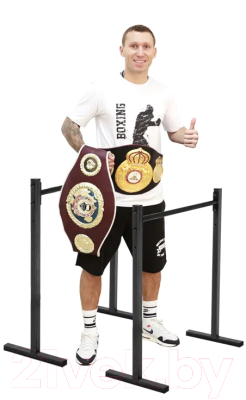 Брусья Absolute Champion Хайлетсы №2