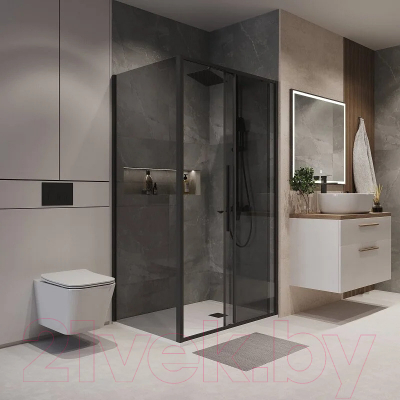 Душевая стенка Niagara NG-TB80-34 80x195