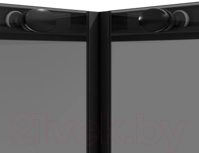 Душевой уголок Niagara NG-2828-34BLACK 80x80x195