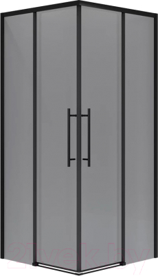 Душевой уголок Niagara NG-2830-34BLACK 100x100x195 - фото