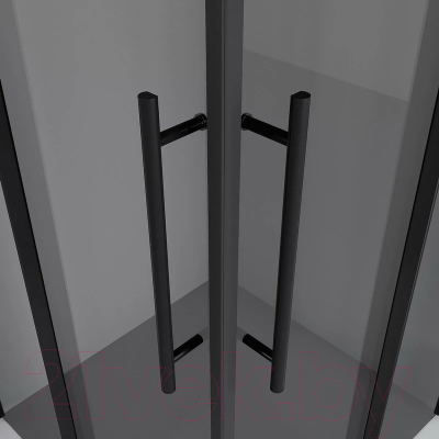 Душевой уголок Niagara NG-2830-34BLACK 100x100x195