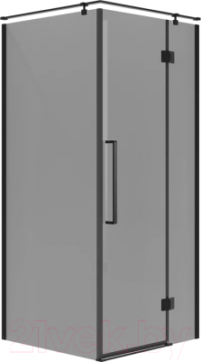 Душевой уголок Niagara NG-2832-34BLACK 100x100x195 - фото