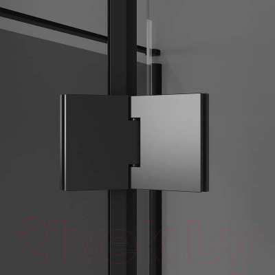 Душевой уголок Niagara NG-2832-34BLACK 100x100x195