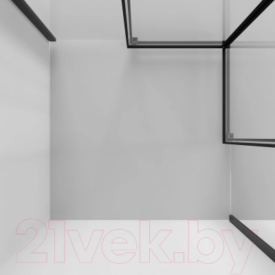 Душевой уголок Niagara NG-6828-34BLACK 80x80x195