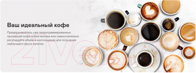 Кофеварка эспрессо Garlyn Barista Compact