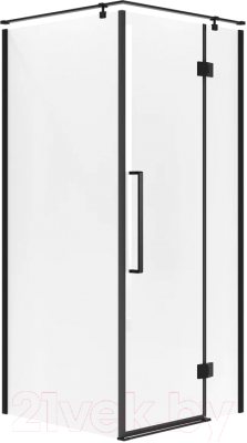 Душевой уголок Niagara NG-6832-34BLACK 100x100x195 - фото